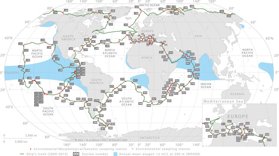 TARA Oceans station map