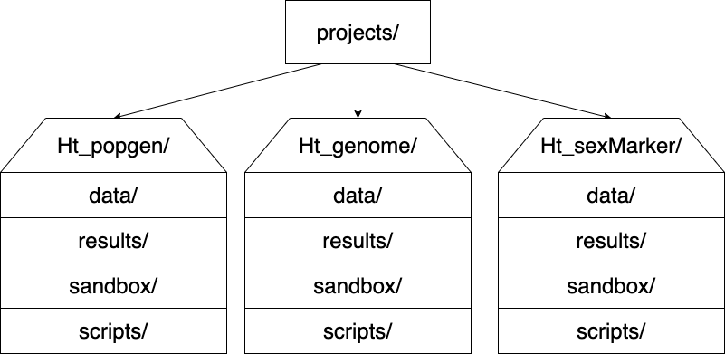 directory structure